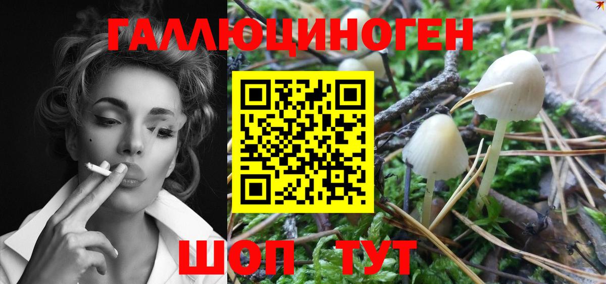 Галлюциногенные грибы GOLDEN TEACHER  Вход с VPN  Кириши 