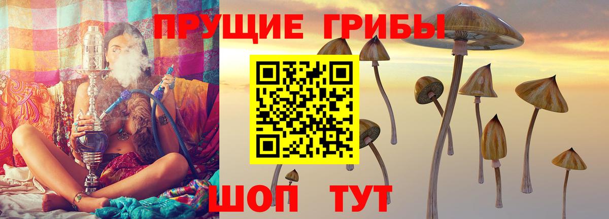Галлюциногенные грибы MAGIC MUSHROOMS Кириши